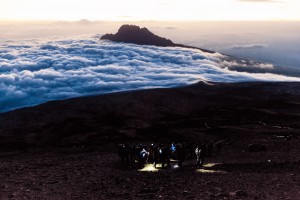 Resa till Kilimanjaro