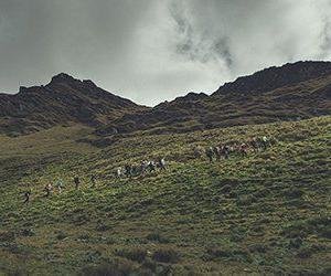 Swett tar dig på en rutt bortom de vanliga lederna på Inkaleden