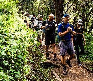 Vi vandrar genom fyra klimatzoner på vägen mot Kilimanjaro, bland annat tät och fuktig djungel