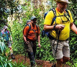 Vandring genom djungel mot Kilimanjaro Vandra genom fantastiska miljöer med Swett på vägen mot Kilimanjaro