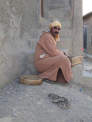 berber i marocko med en orm