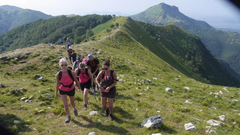 Vandringsresor | Swett