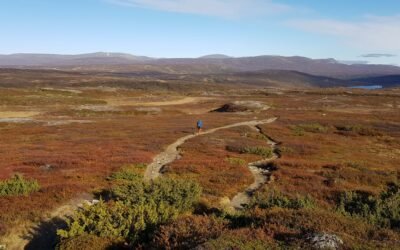 Jämtlandsfjällen utsikt Fin vy över Jämtlandsfjällen