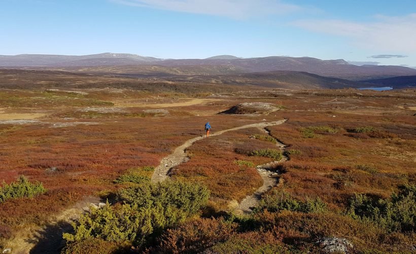 Jämtlandsfjällen utsikt
