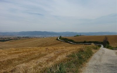 Camino de Santiago - webb 1