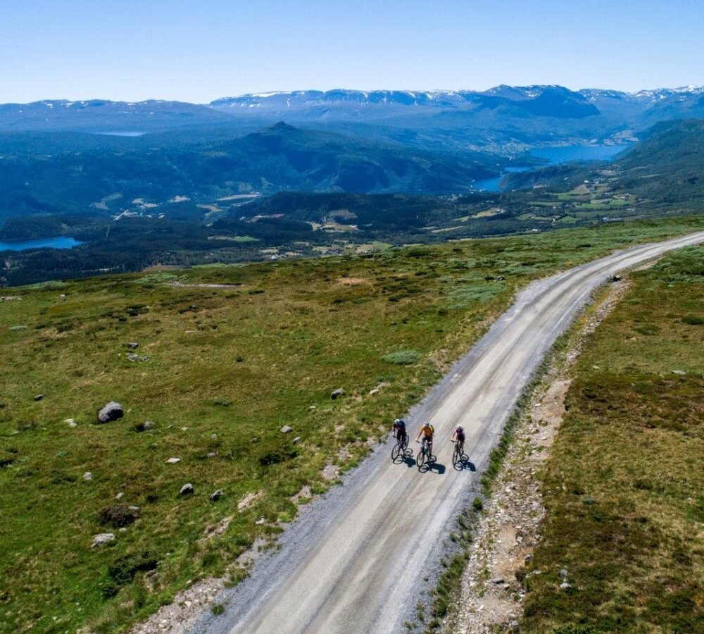 SCO_15.07.1831853 (1) SCO_15.07.1831853 (1)